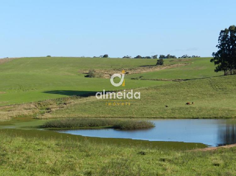 Fazenda/sítio/chácara/haras à venda no Arroio do Só -