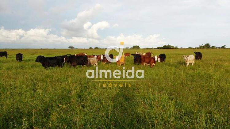 Fazenda/sítio/chácara/haras à venda no Zona Rural - Rio