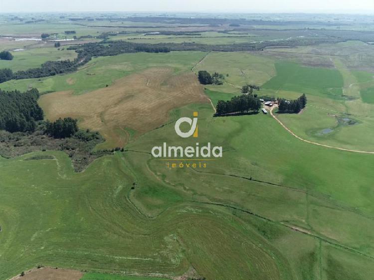 Fazenda/sítio/chácara/haras à venda no Zona Rural - São