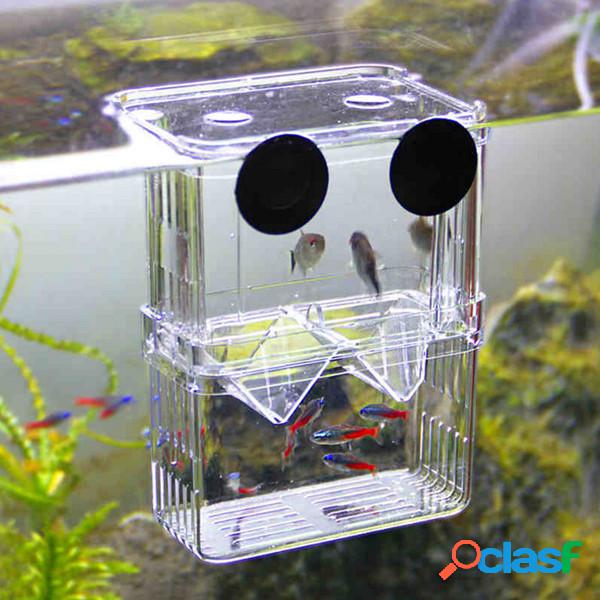 Aquário Young Fish Incubator Isolation Box Criando Tanque