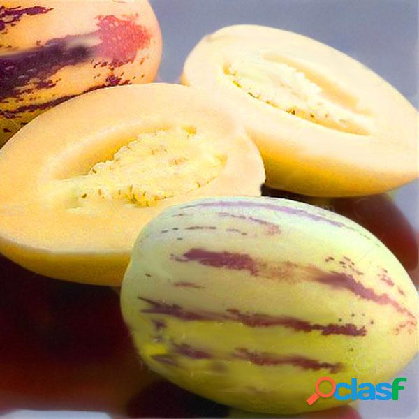 Egrow 100 Unidades / pacote Melão Doce sementes Raro Frutas