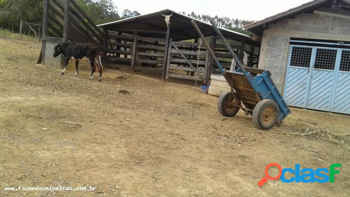 Fazenda para Venda em Curvelo / MG no bairro Zona Rural