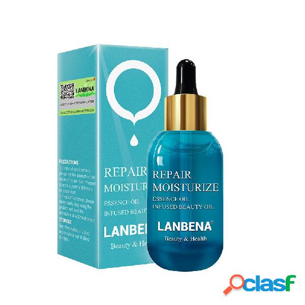 Reparação facial Hidratar Essência Óleo 15 ml Clarear o