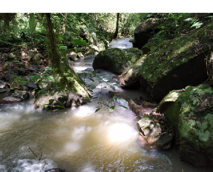 Sítio de 30 ha Zona rural de Riozinho - RS