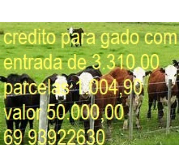 credito para cada e terra