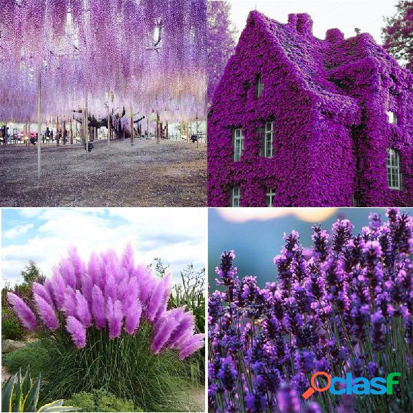 515Pcs Egrow 4 variedades de ervas de flores misturadas