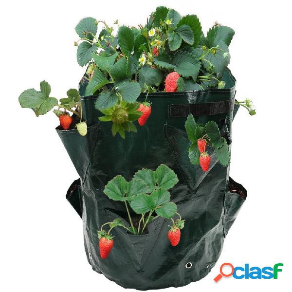 8 bolsos de batata plantador de morango varanda morango