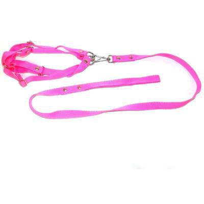 Conjunto Guia de Seda com Peitoral Furacão Pet - Rosa