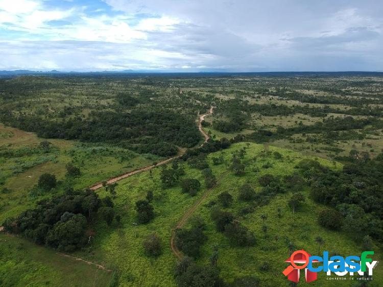 Fazenda no Tocantins, município de Dianópolis