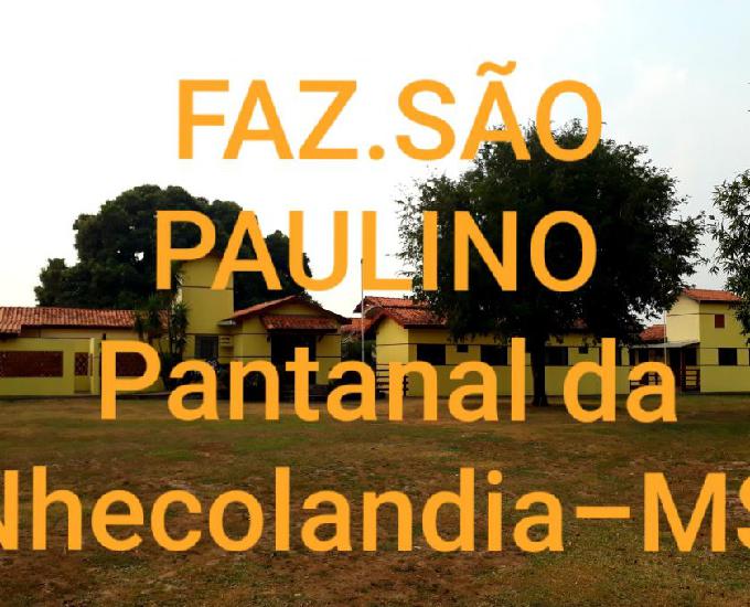 FAXINEIRA p Serviços Gerais rural.