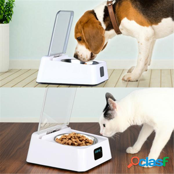 Cães de estimação Alimentador automático de
