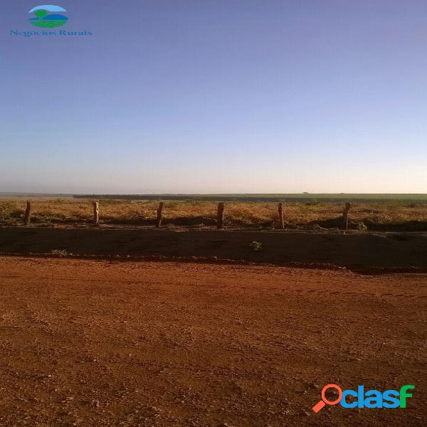 Fazendão para soja no Maranhão