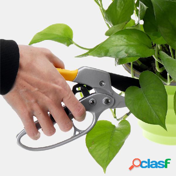 Jardim profissional Segmentado Trabalho-Saving Fruit Branch