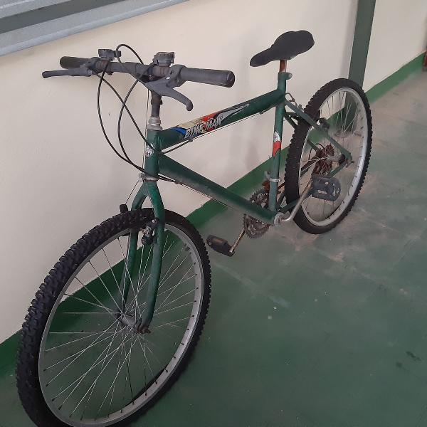 Bicicleta do tigre