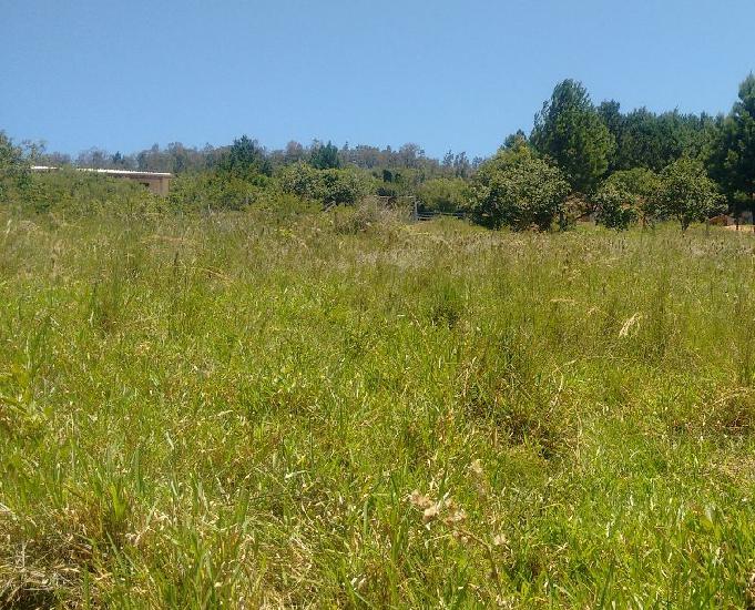 Chácara 2.500 m² - Morungava - Gravataí - RS