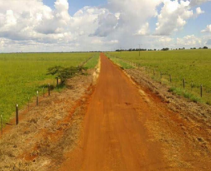 Fazenda vale do Araguaia- Formoso do Araguaia-To com 271 al