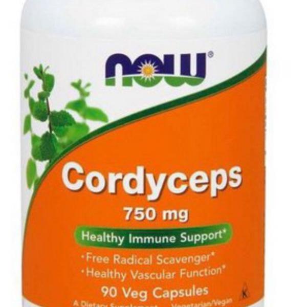 cordyceps now foods