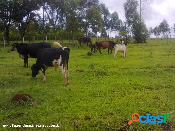 Fazenda para Venda em Carmópolis de Minas / MG no bairro