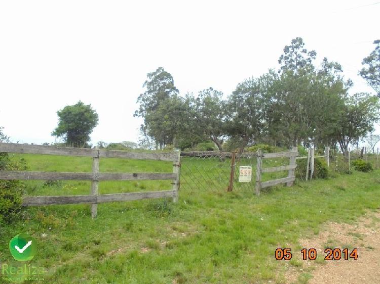 Fazenda/sítio/chácara/haras à venda no Zona Rural -