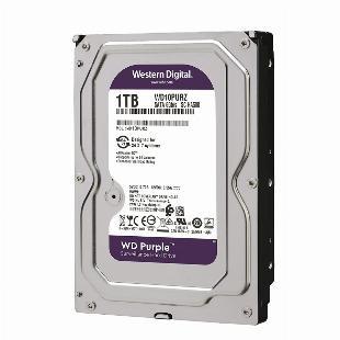 HD Western Digital 1TB PURPLE