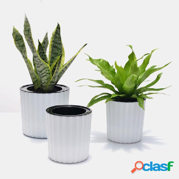 Absorção de água automática Succulent Creative Planta