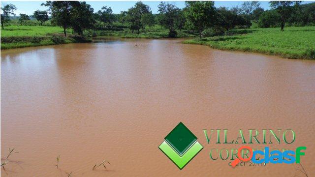 FAZENDA BOCAIUVA TODA FORMADA COM CASA - LINDA- MELHOR DA RE