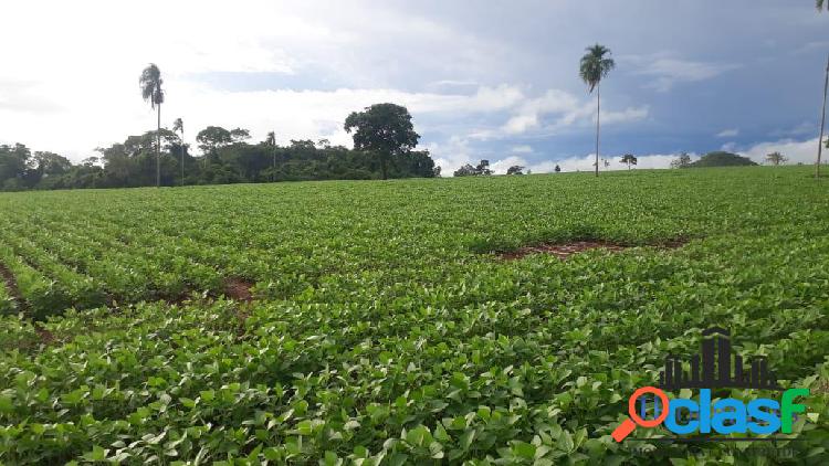 Fazenda em Piracanjuba para lavoura e gado