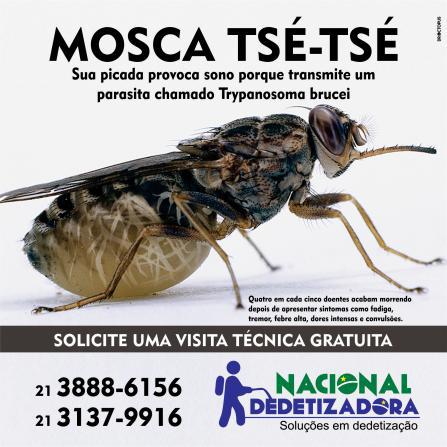 Dedetizadora de Mosquitos Nacional