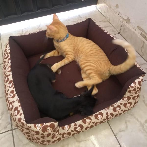 caminha de cachorro é gato 60x60