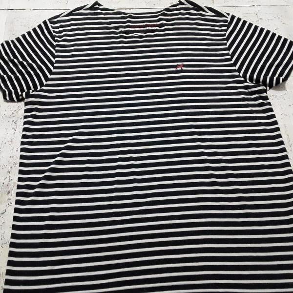 camiseta beagle