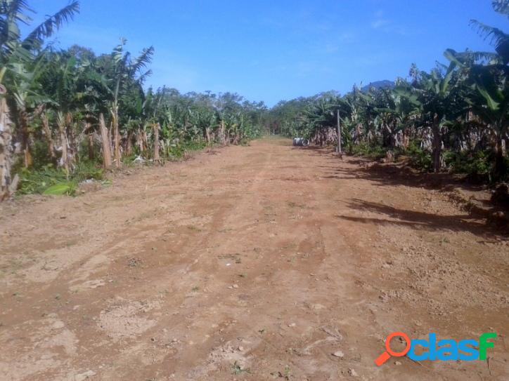 Cachara em Ana Dias, 5km de Peruíbe, pagamento facilitado