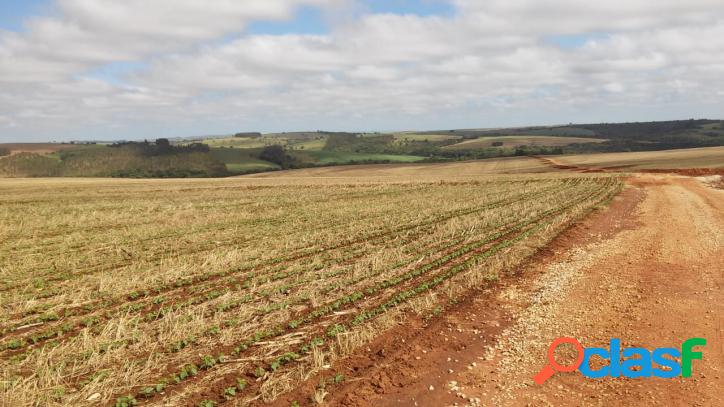 Fazenda Venda - Itaberá - SP