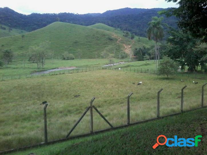 Fazenda Venda - Ribeira - SP