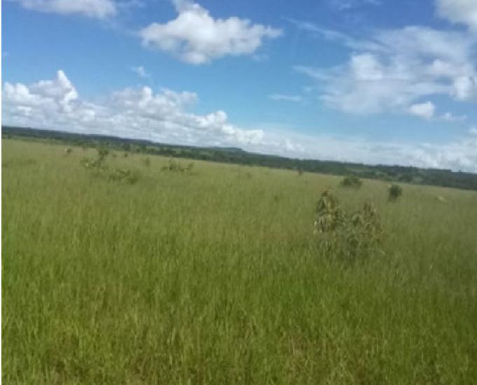 2600 hectares Dupla Aptidão em Paranatinga