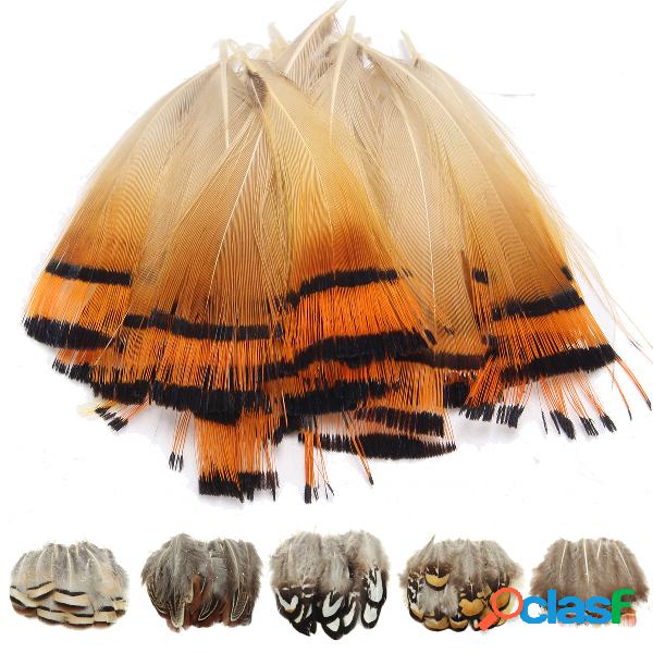 20pcs Assorted Beautiful Natural Pheasant Penas Cloth Crafts