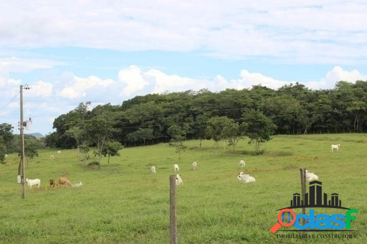 Fazenda em Piracanjuba com 90 hesctares, próxima a cidade