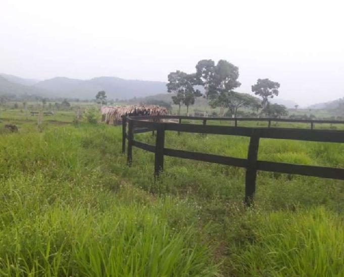 Fazenda à venda com 1450 hectares região de Xinguará no