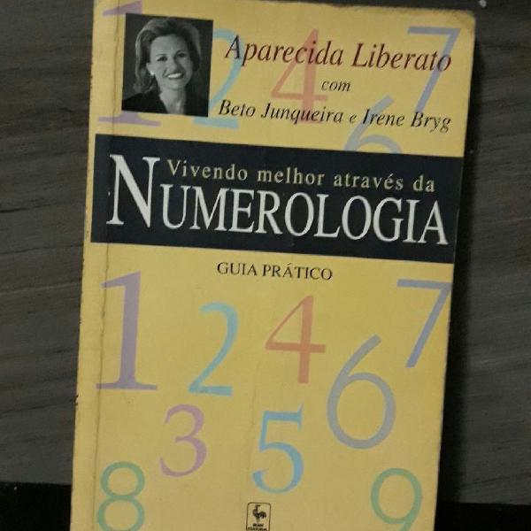 Livro de numerologia de Aparecida Liberato
