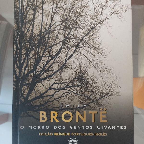 Morro dos Ventos Uivantes - Emilly Brontë