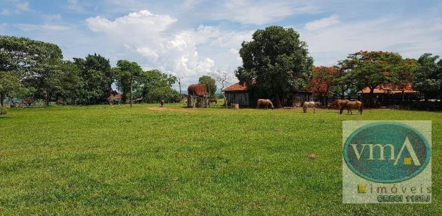 Vendo Fazenda à venda, na Zona Rural de Campo Grande-MS
