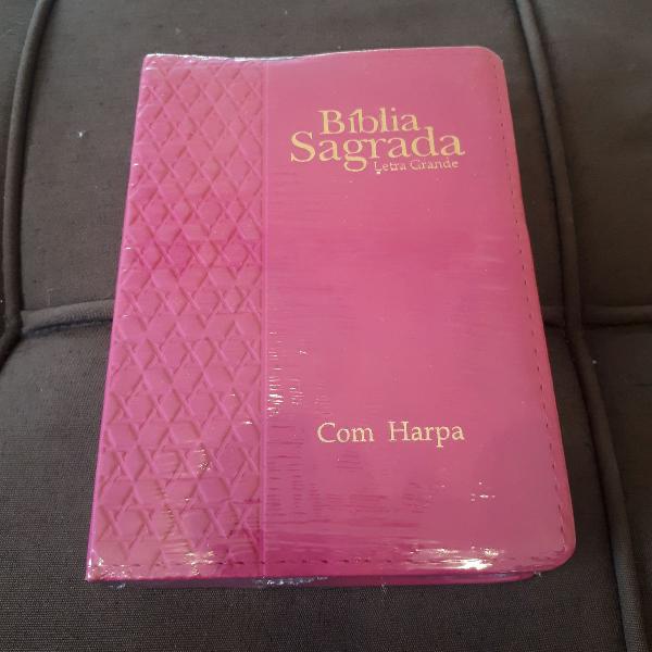 biblia sagrada rosa