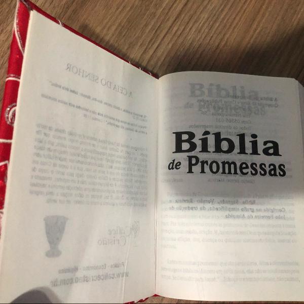 linda bíblia customizada