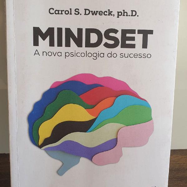 livro mindset