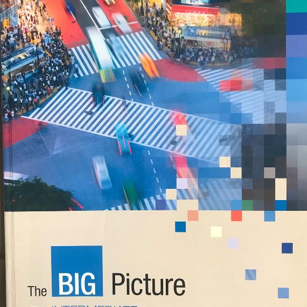 student book the big picture - intermediate + workbook
