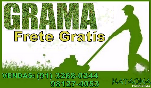 Grama grama Esmeralda direto do Produtor frete grátis