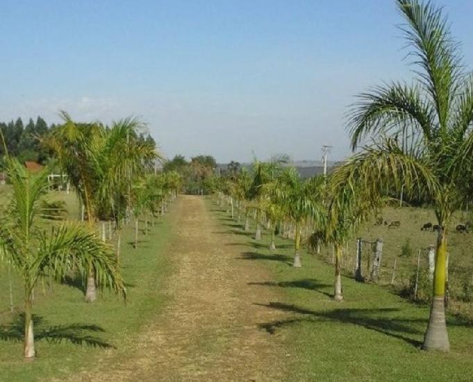 ALUGA-SE SITIO DE 2,5 ALQUEIRES