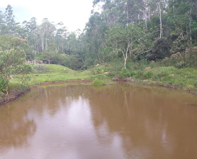 Excelente fazenda com 29 alqueires, em Caçapava - SP