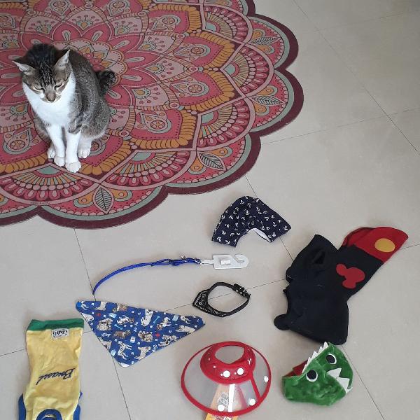 Kit para Gatos