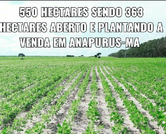 Vendo terra pra soja 550 hectares em Anapurus Maranhão
