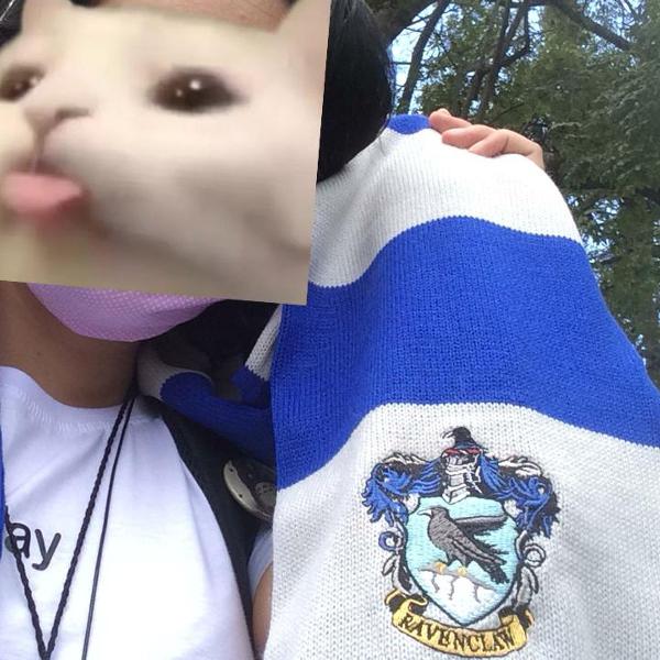 cachecol harry potte ravenclaw novo